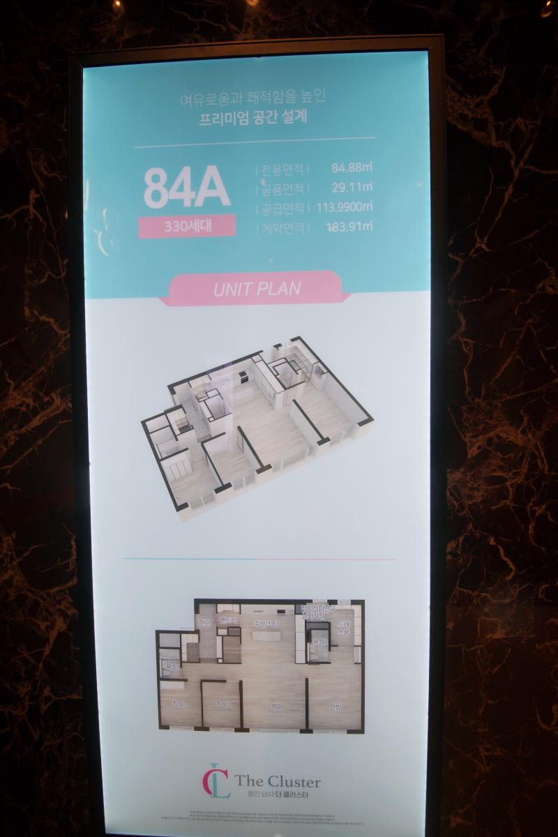 ��� �̾� �÷���Ƽ 84A���� 01